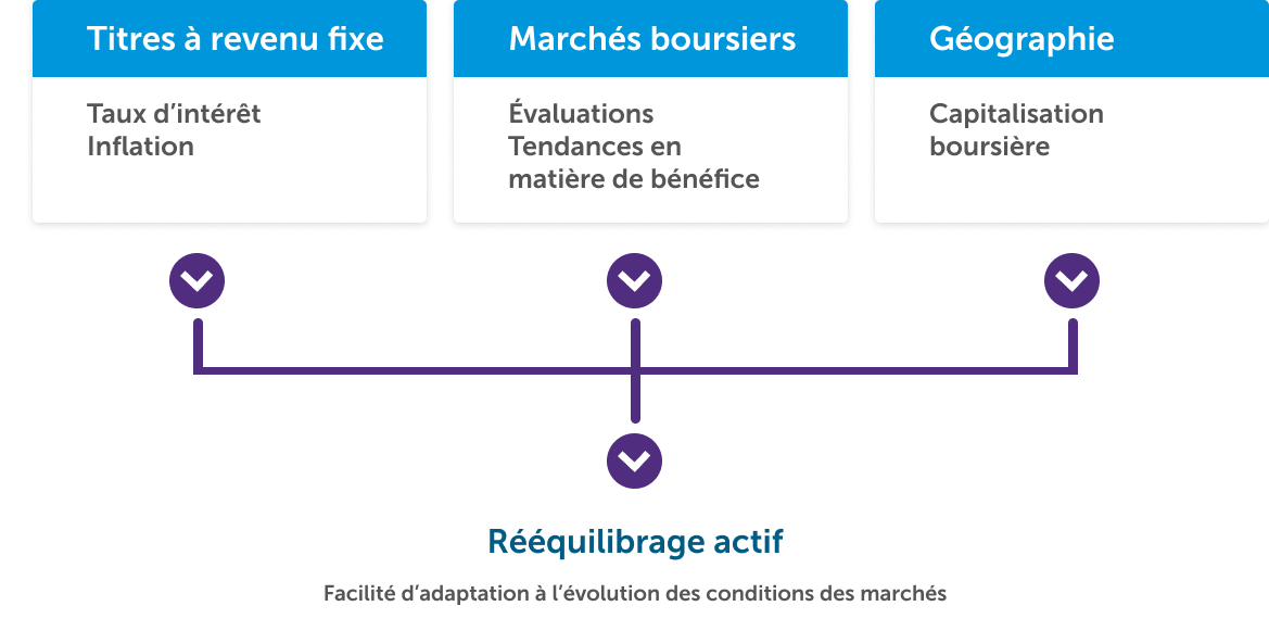 Asset Allocation Investment Process Desktop