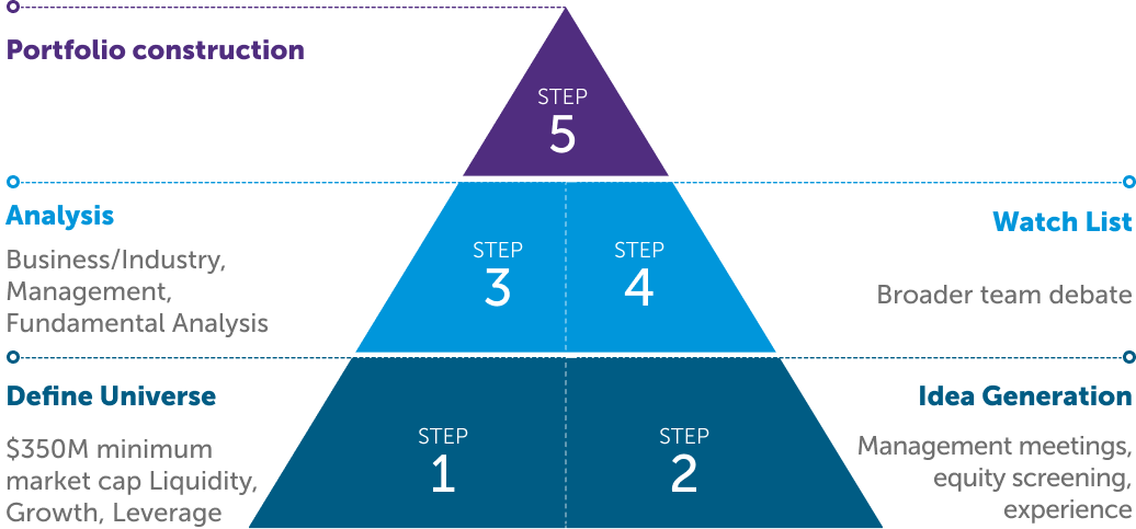 A 5-step pyramid diagram illustrating the equity investment process, starting with defining the universe and culminating in portfolio construction.